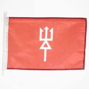 District Other Position Flag