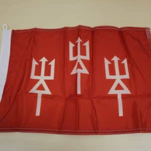 District Commander Flag