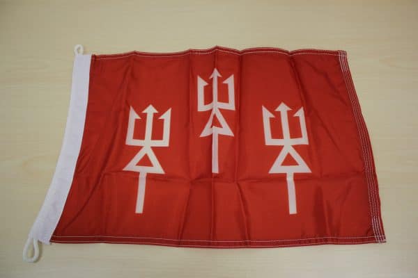 District Commander Flag